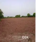 Sohanjani jatan jamin 5biga