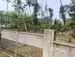 Aluva perumbavoor road choondi chunangamveli 14 cent orginal land