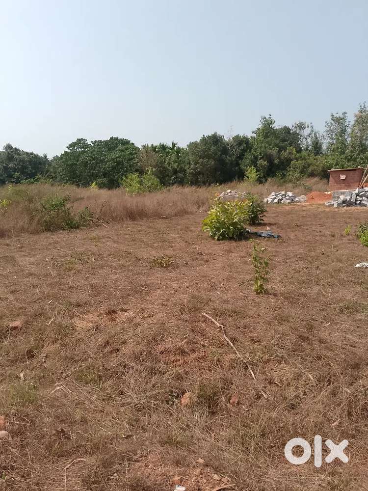 Site for sale at dendoorkatte