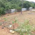 6000 Sqft Land near MWC Paranur Tollgate Chengalpattu
