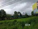 56 cent Commercial land for sale near Aluva Kuttamassery