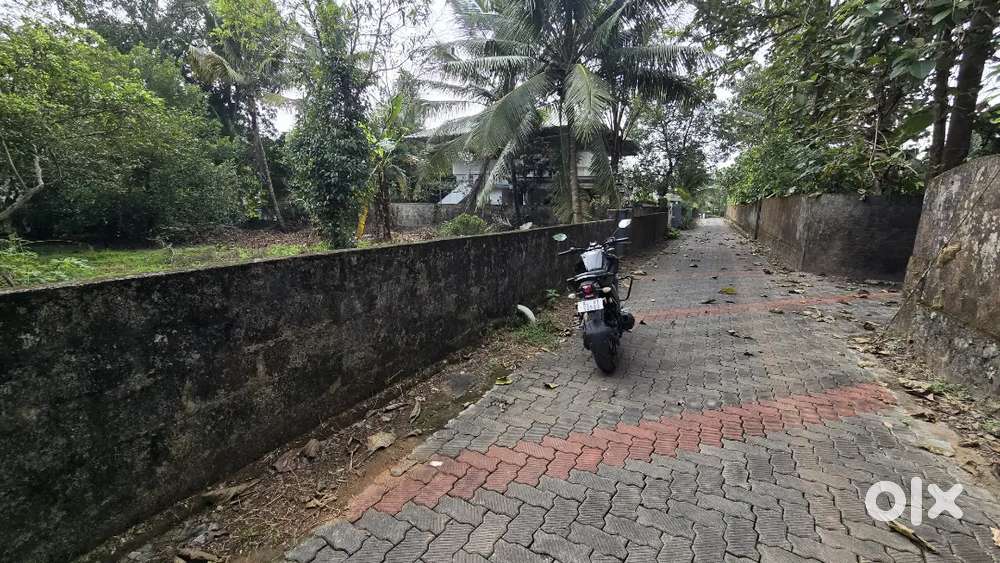 Nedumbassery near athani mekkad 14 cent house plot for sale