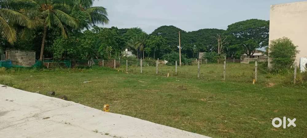 DTCP Approved Plots in Koovathur Meadows – Starting ₹1,999/sqft