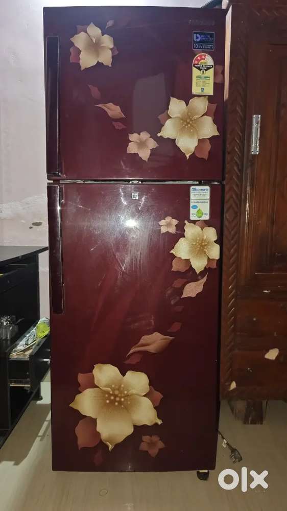SAMSUNG DOUBLE DOOR DUAL INVERTER REFRIGERATOR 253LTR/3 STAR RATING