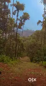 47-Cent Agricultural Property/Resort for Sale