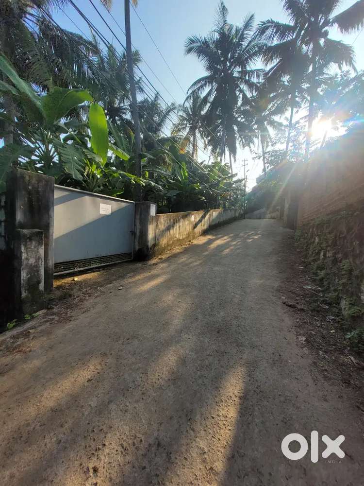 At Madan Kovil Lane (between Paruthippara – Muttada), Trivandrum.