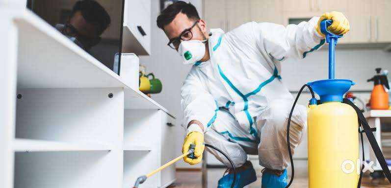 Wanted pest control technicians spot joining