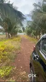 4 Acers of farm Land Sale in Poondi Thiruvallur
