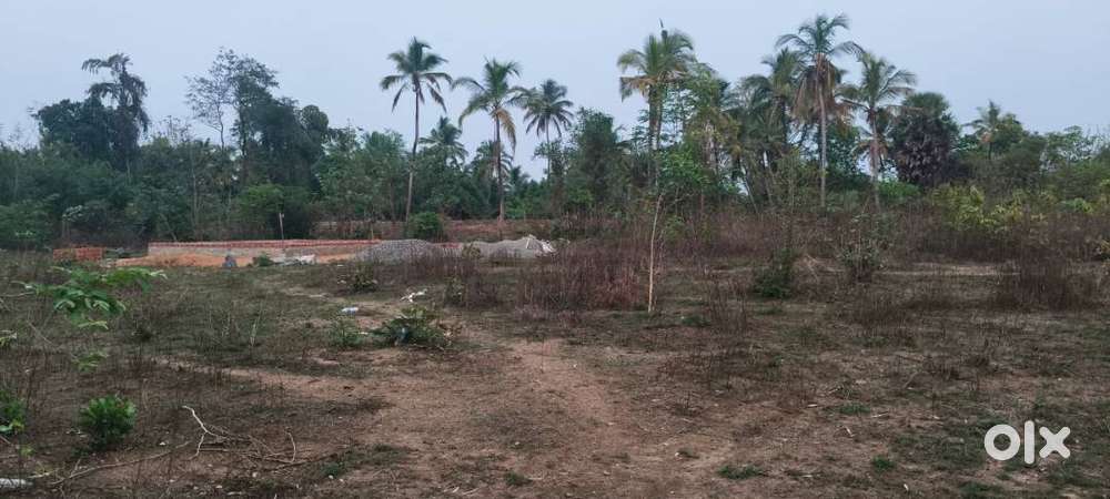 4.10 Cent Residential Plot for Sale at Karekkad, Chandranagar,Palakkad