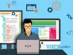 Website Developer and mobile apps