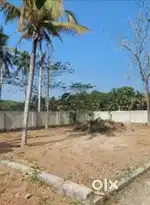 Vacant plot of land available for rent/lease at Panangad, Kochi