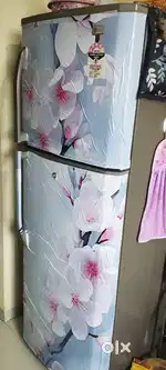 Double door LG refrigerator