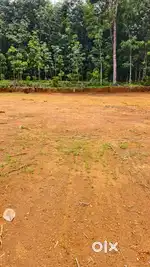 ഭരണങ്ങാനം ചൂണ്ടച്ചേരി റോഡിൽ ഹൗസ് ബോട്ടുകൾ വിൽപ്പനയ്ക്ക്