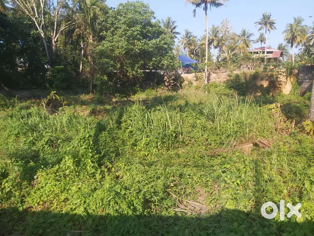 5 cents land for sale