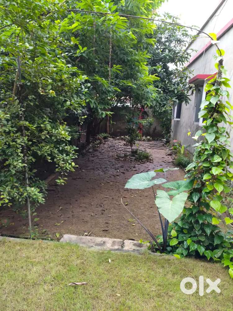 2625sqft plot 2bhk tenement for sale at Saiyed vasna nr Hl party plot