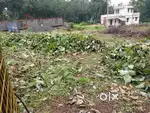 Residential plot for Immediate sale at Vayanasalappady, Kothamanglam