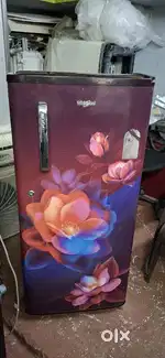Fridge for sales