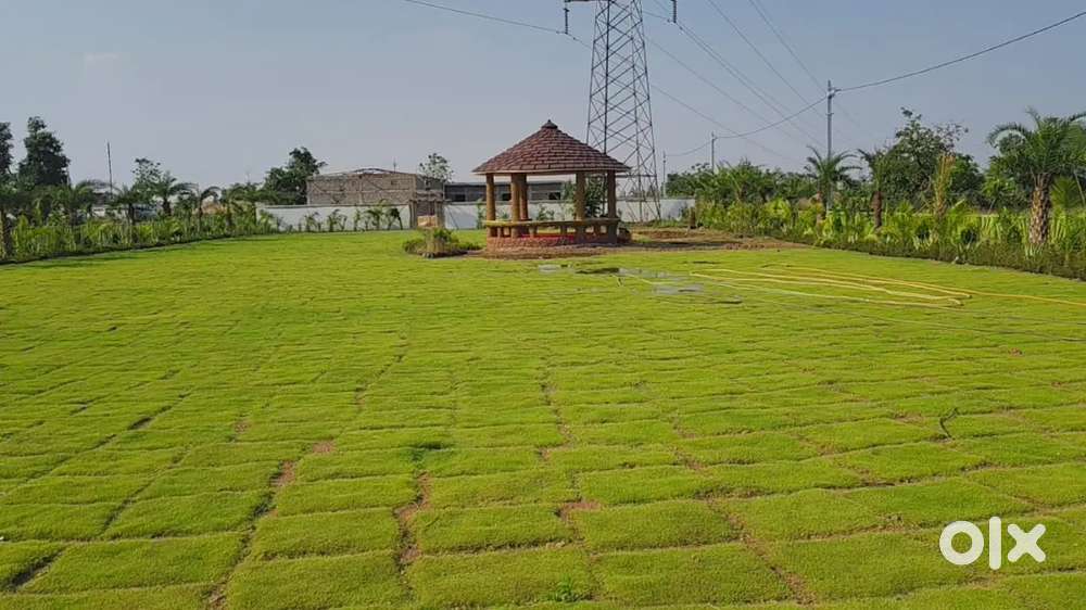 Real estate and coling