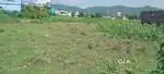 I want to sell my plot (serious buyer)only