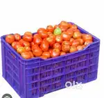 Vegetable route partner tamato