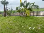 FULL WHITE MONEY ACCEPTED