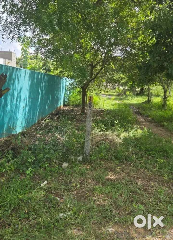 RESALE PLOT @ MANIMANGALAM