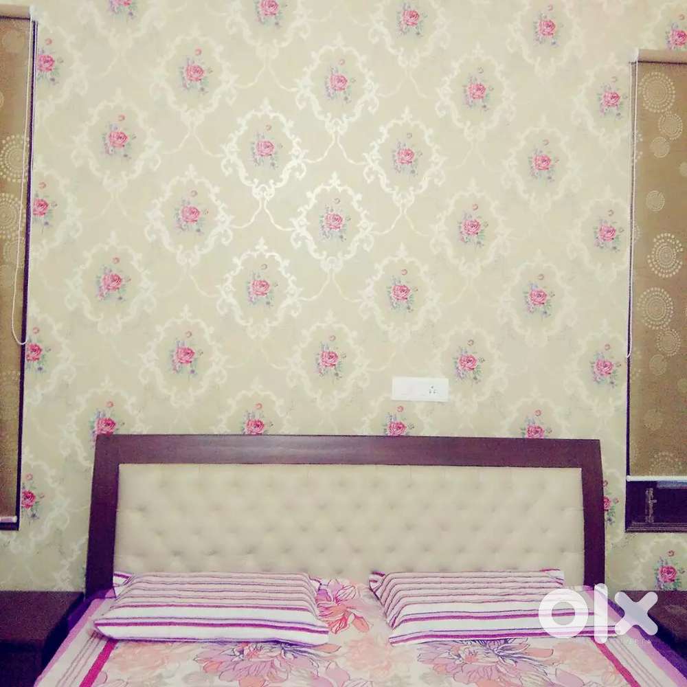 2 Bhk fully Furnished Channi Himmat