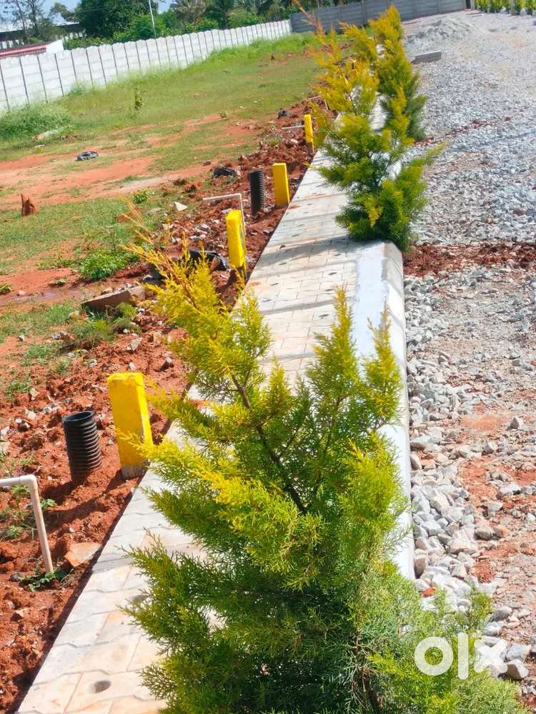 Ghati road near DC conversion E khata plots available