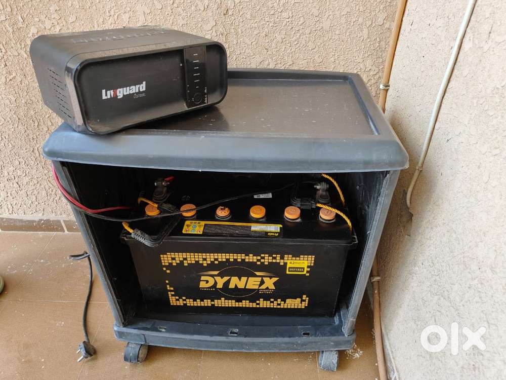 Iivguard inverter 20 month old