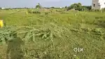 Near to nallapadu ps swarna barathi nagar