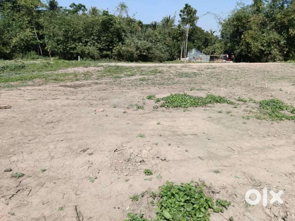 23 kata vastu jomi bikri ache .per kata 2.60lakh