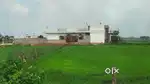 Rent me dena hai school college office godown k liye baimanagoi road