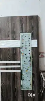 Mirror door