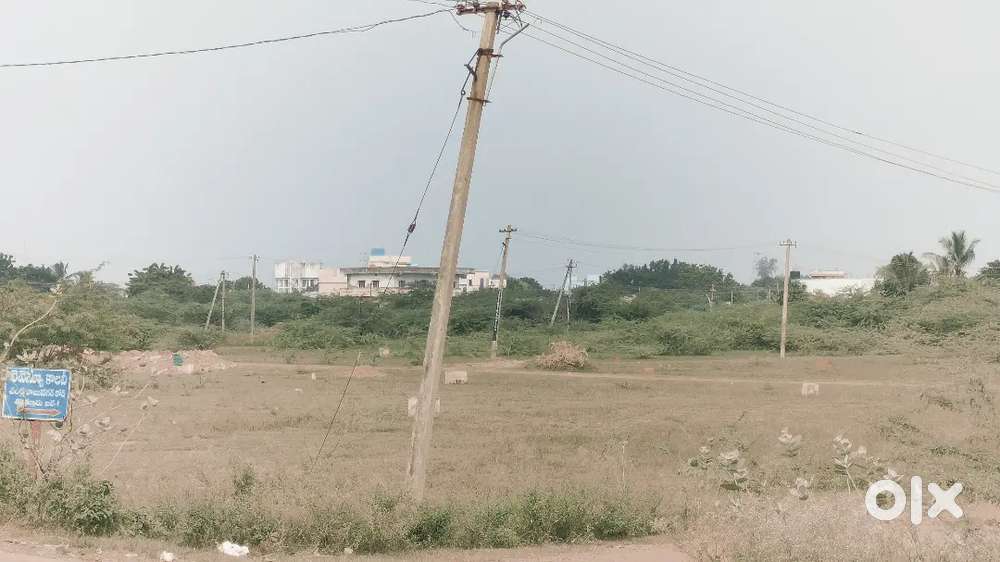 PODALAKUR ROAD REAVANUE COLONY THAR ROAD COMARCIAL PROPOTIES 35 ANK