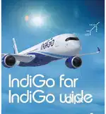 Direct opening in indigo airline job opportunities