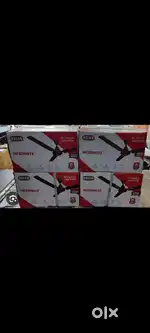 Polar ceiling fan at wholesale price