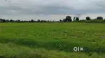 4ACRE ROAD TOUCH LAND FOR SALE  PRIME LOCATION NEAR 4COINS LAWN PALOTI