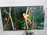 SALE  SUPER OFFER 43 INCH SLIM LEDTV AVAILABLE WHOLESALE PRICE SMART