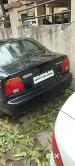 Running condition powerful pickup+ avarage mackweel