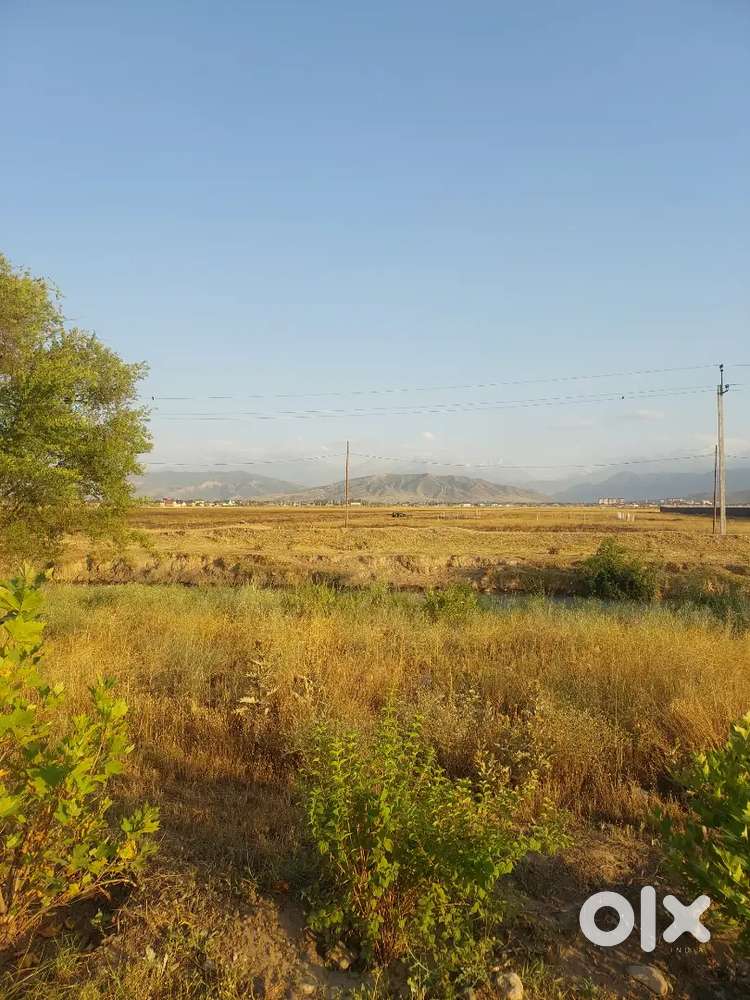 I am selling 5 Bissa land for emergency purpose