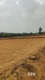Pollachi to udumalipatie road nearly