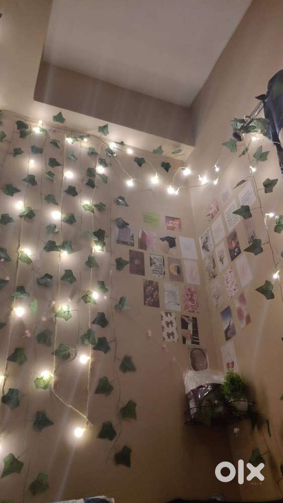 Spacious room with own balcony and bathroom. Comes with bed  wardrobe