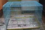 Birds cage for sale