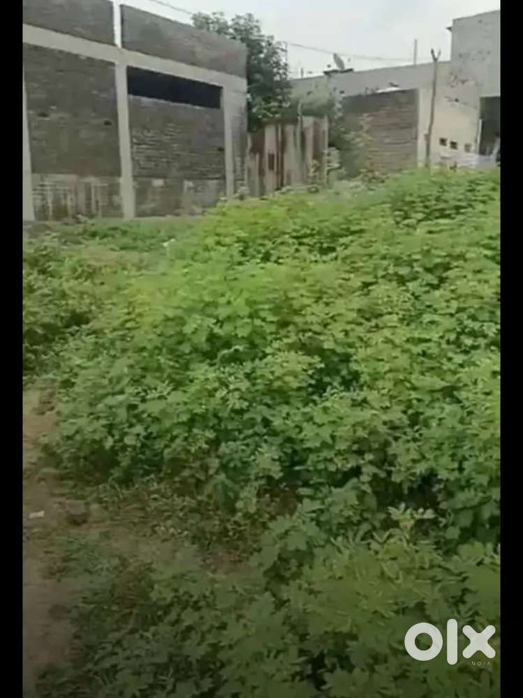 Nisrg colloni bhawsing pura