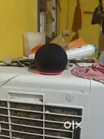 Amezon Alexa