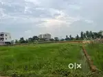 Plot for sale