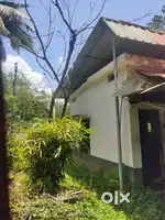 Place for rent
