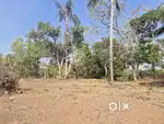 10 cent plot for sale