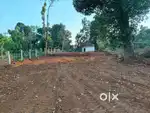 Half acre plus land (22 Gunta) land for sale
