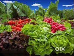 Agri Business and Sales